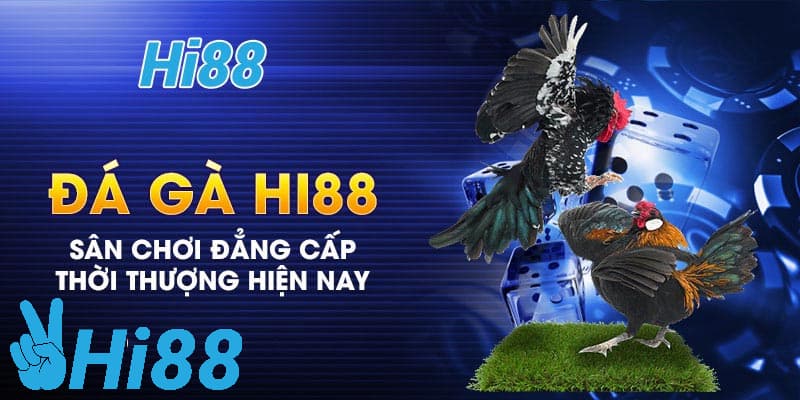 Giới thiệu sơ lược về đá gà hi88